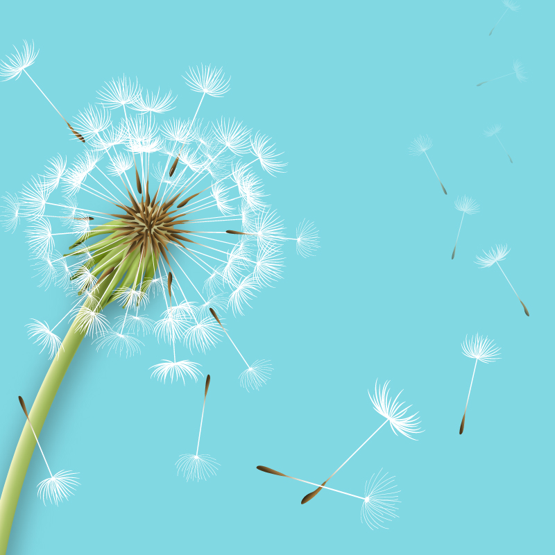 站长素材网- Sucaie.jpg